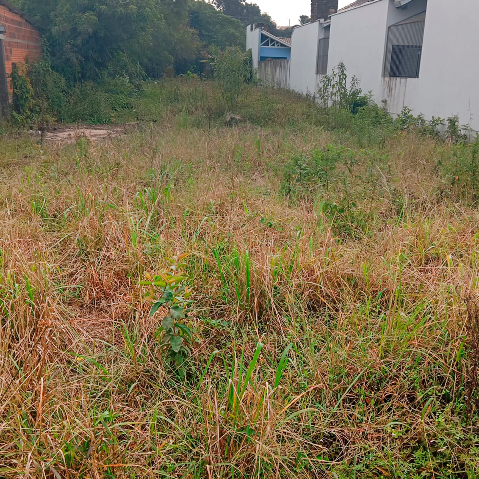 Foto da extensão do terreno