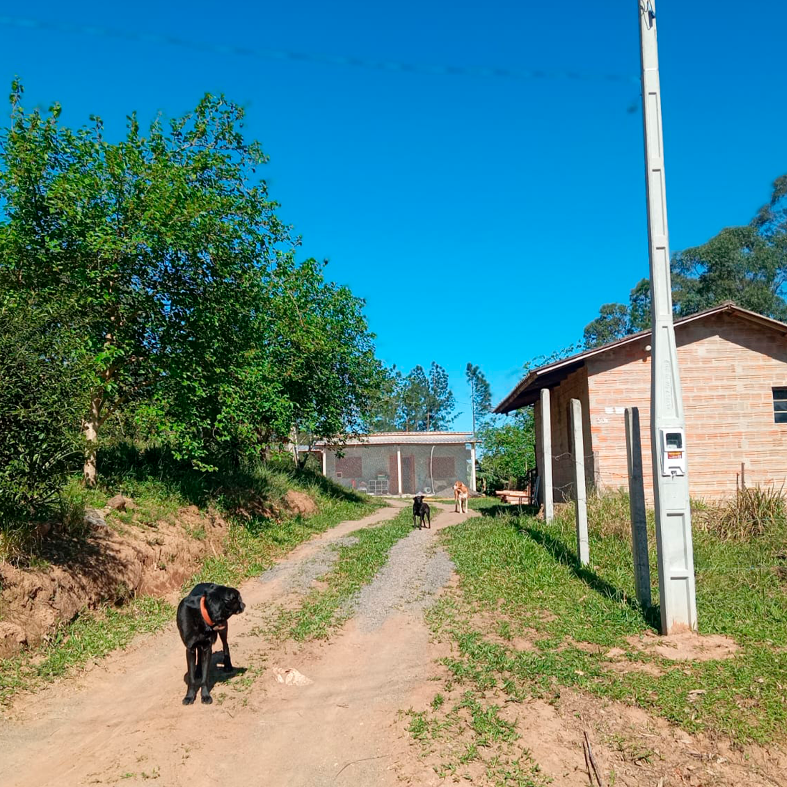 entrada da propriedade