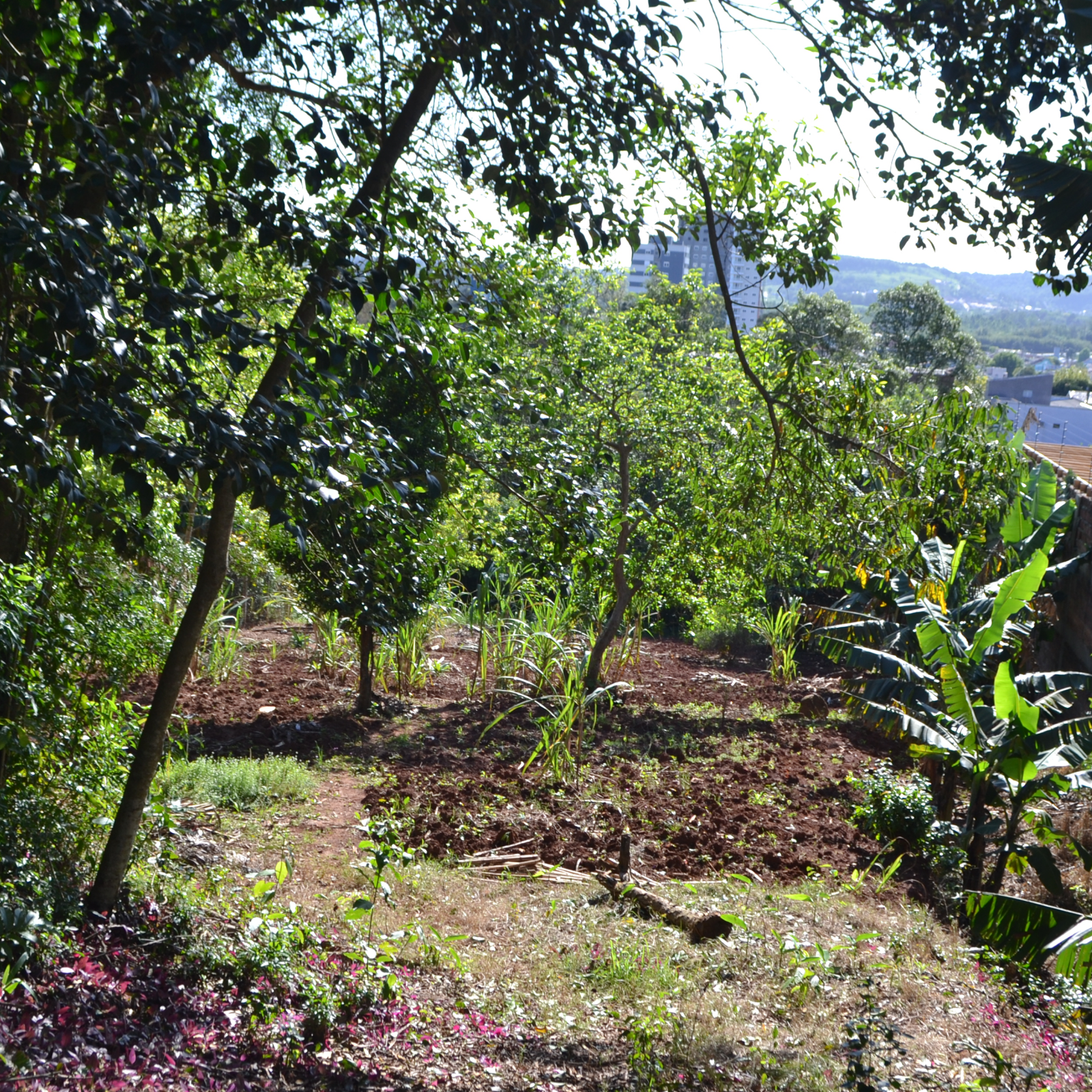 Vista do terreno