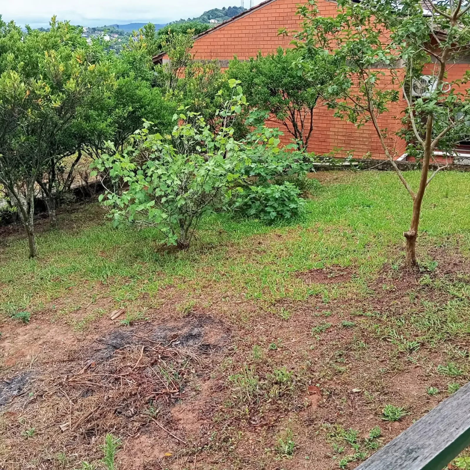 Espaço para quem deseja plantar