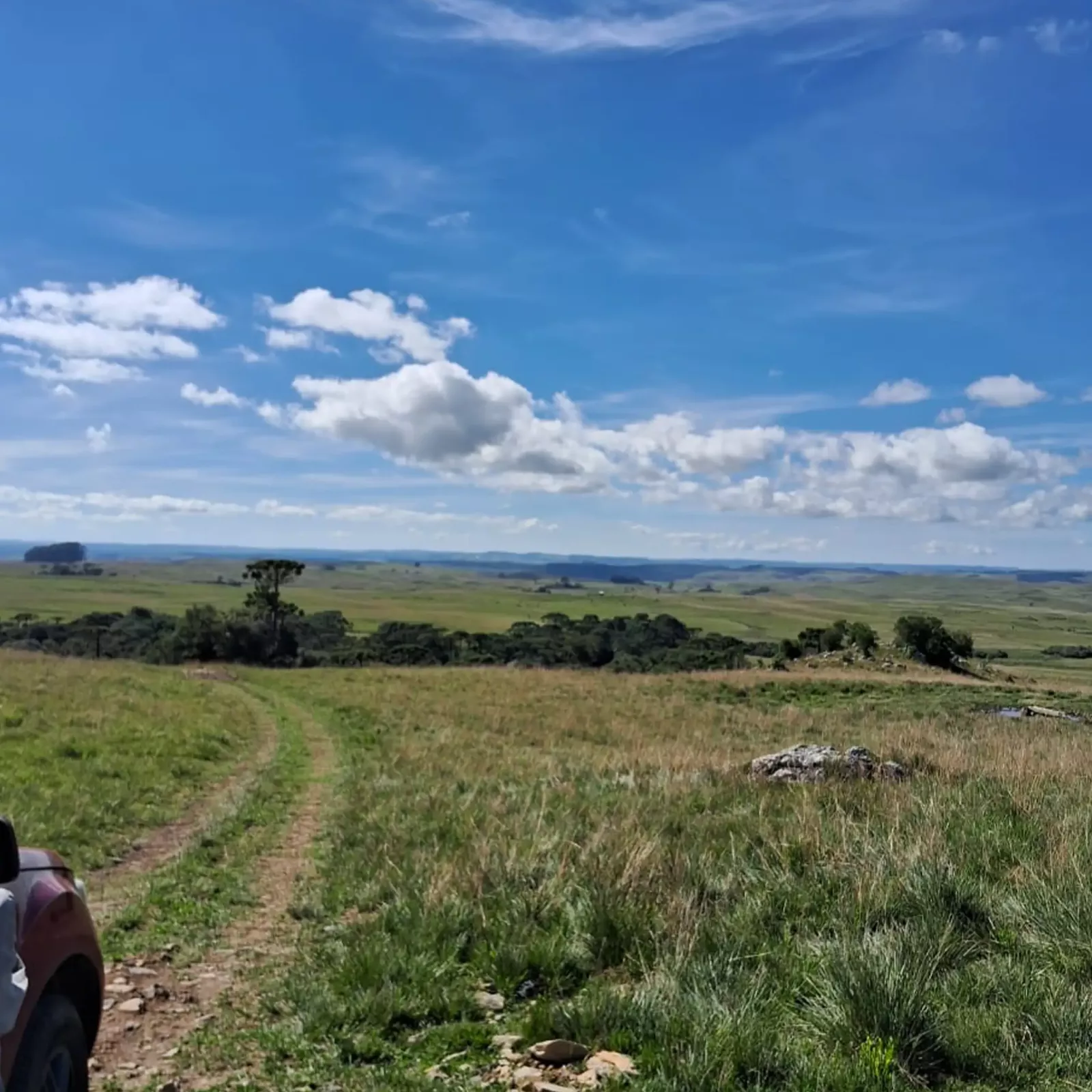 Vasta área de terra plana