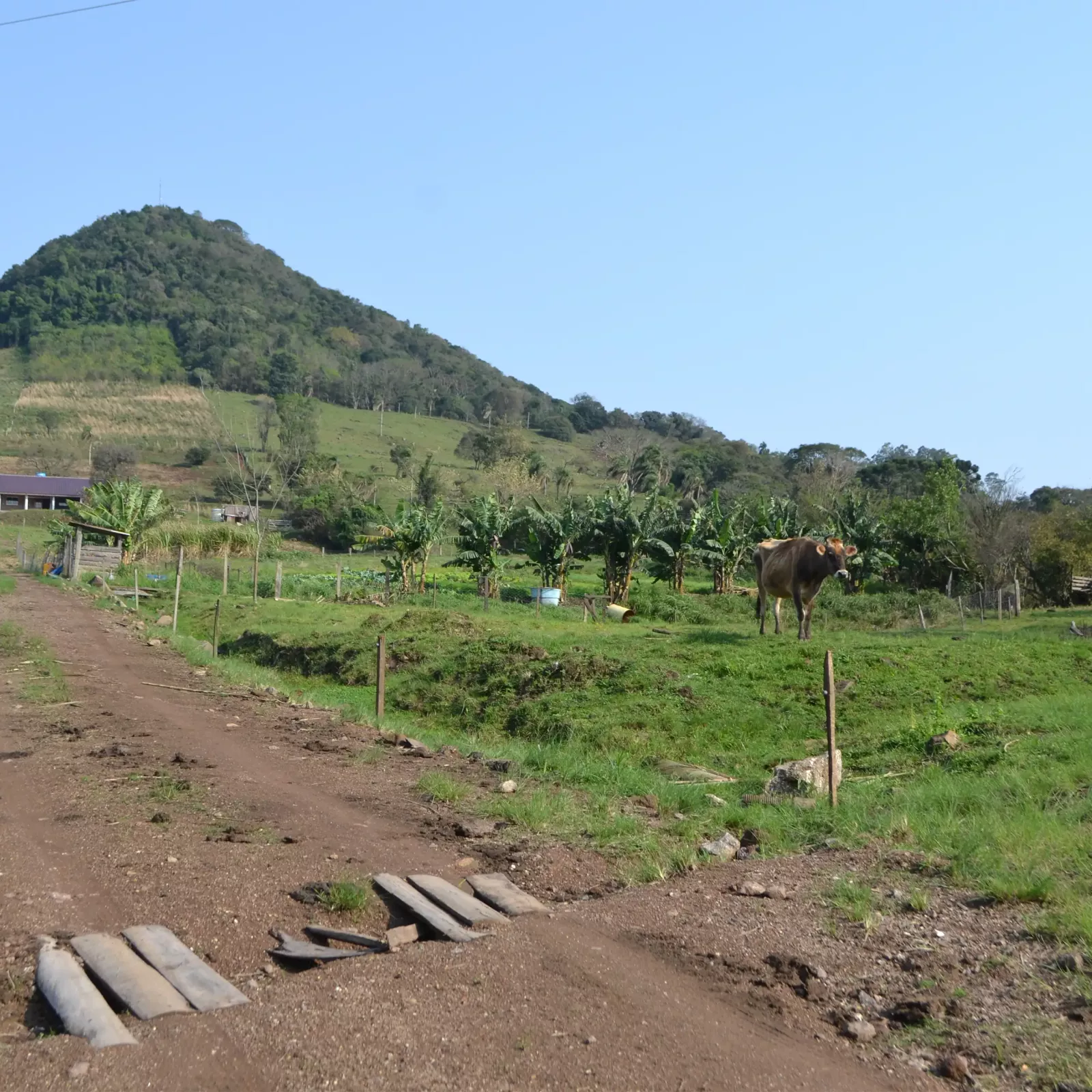 Estrada que leva até a casa principal