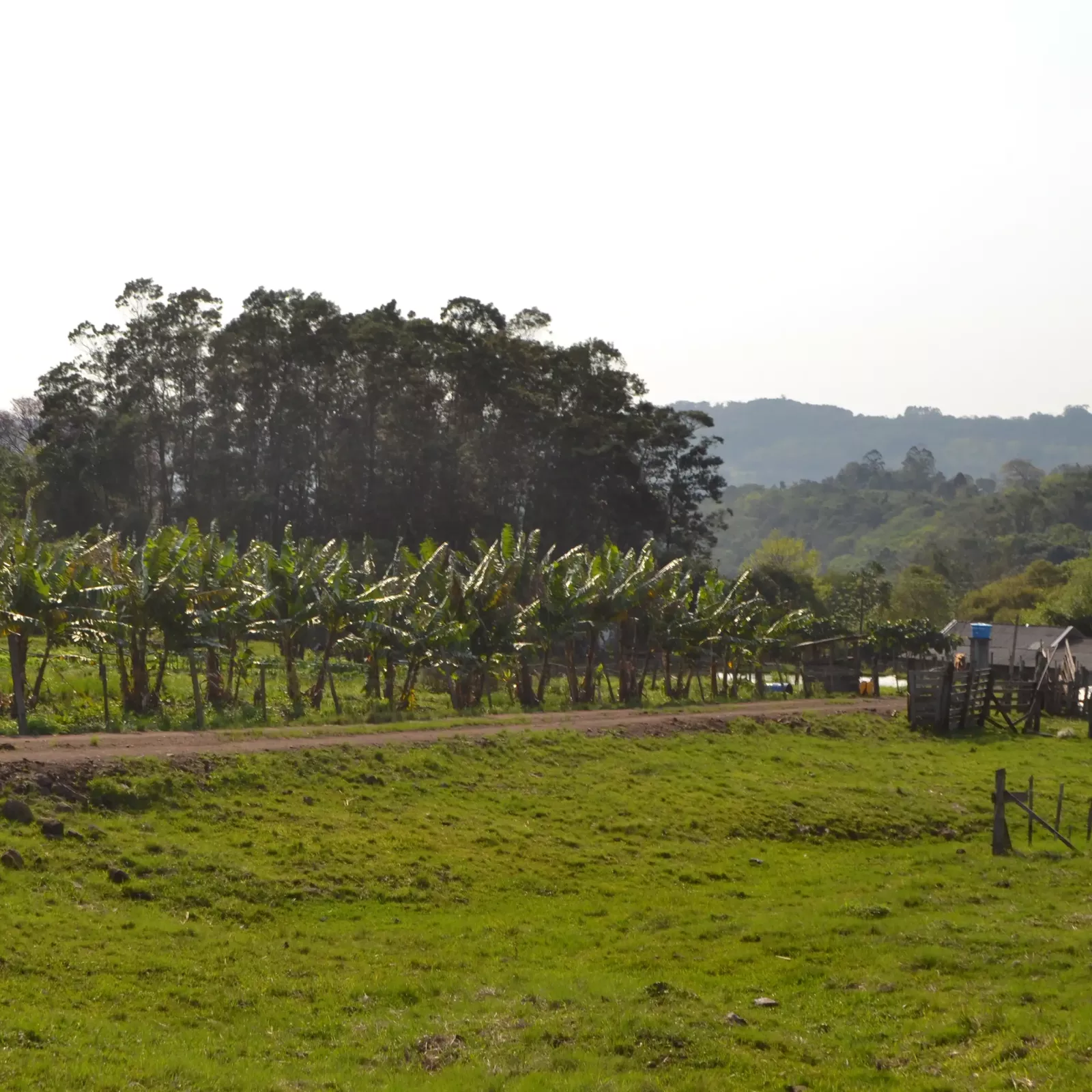 Campo e espaço para plantio