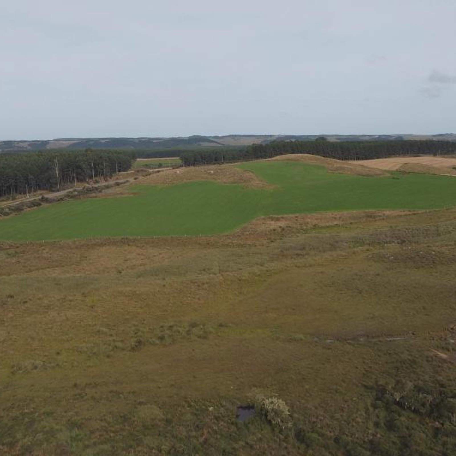 Fazenda vista aérea