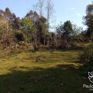 Área de Terra em Gramado / Pedras Brancas