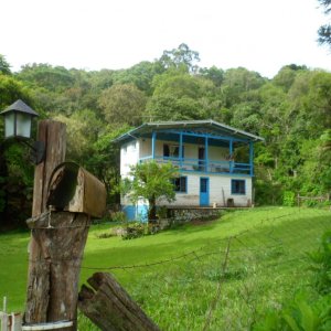 Chácara - Sítio em São Francisco de Paula / Centro