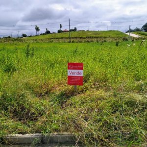 Terreno em Taquara / Ideal