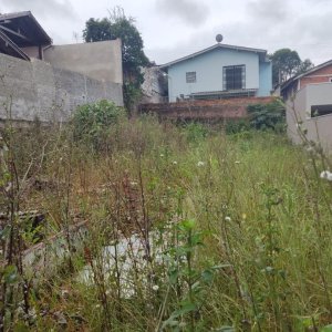 Terreno em rua asfaltada