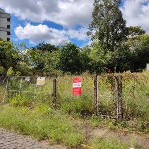 Terreno em Taquara / Sagrada Familia