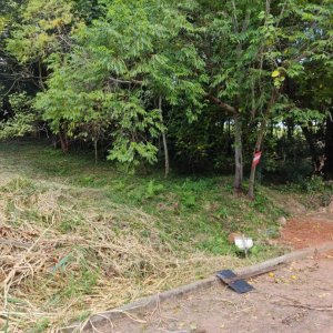 Terreno em Taquara / Morro do Leôncio