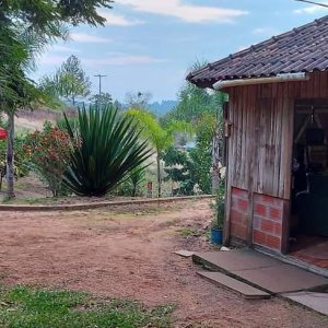 Chácara - Sítio em Taquara / Santa Rosa