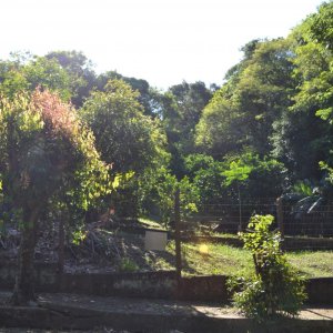 Terreno em Taquara / Sagrada Familia